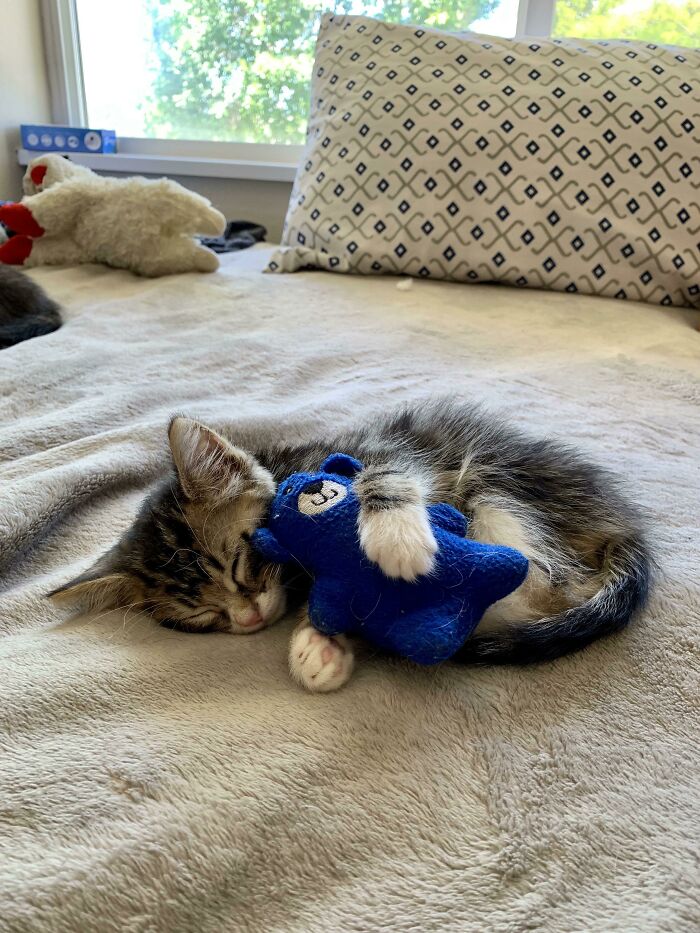 All Jack Jack Does Is Sleep