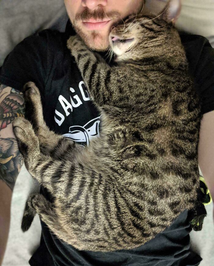 Foster Cat Neko Likes To Take Afternoon Naps Like This, Prevents Me From Doing Anything Else Productive For An Hour (Which I Guess Is Okay)