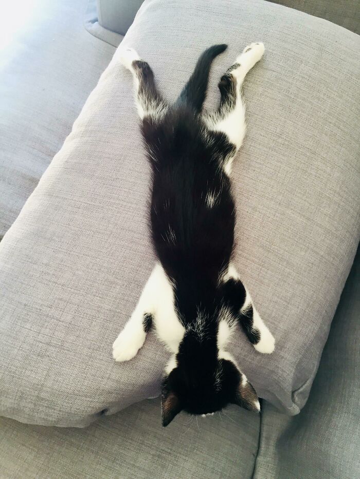 Found Her Sleeping Like This