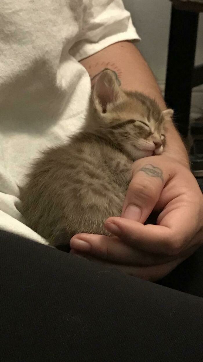The Tiniest Of Sleeps