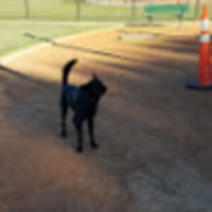 stephenjeppesen avatar