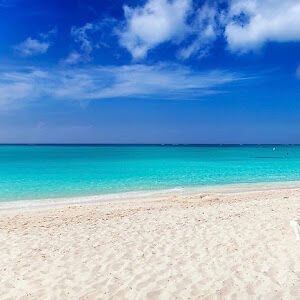 jenniferbraswell avatar