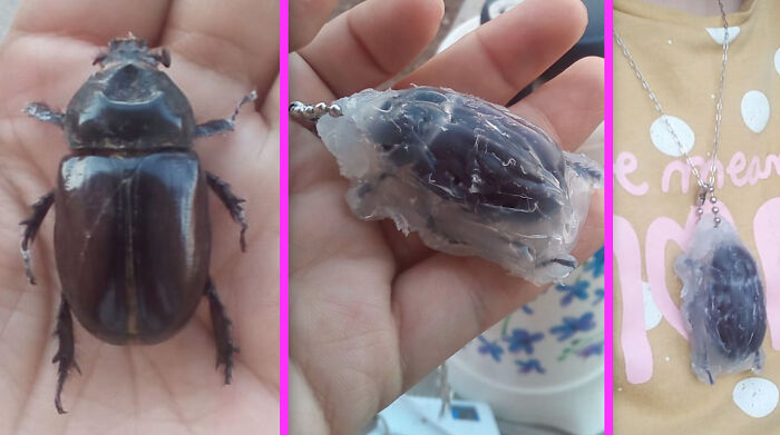 1. Find A Dead Beetle. 2. Cover It In Hot Glue. 3.fashion