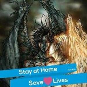 everyfairy83057 avatar