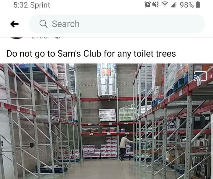 I'm Planting More Toilet Trees On Arbor Day