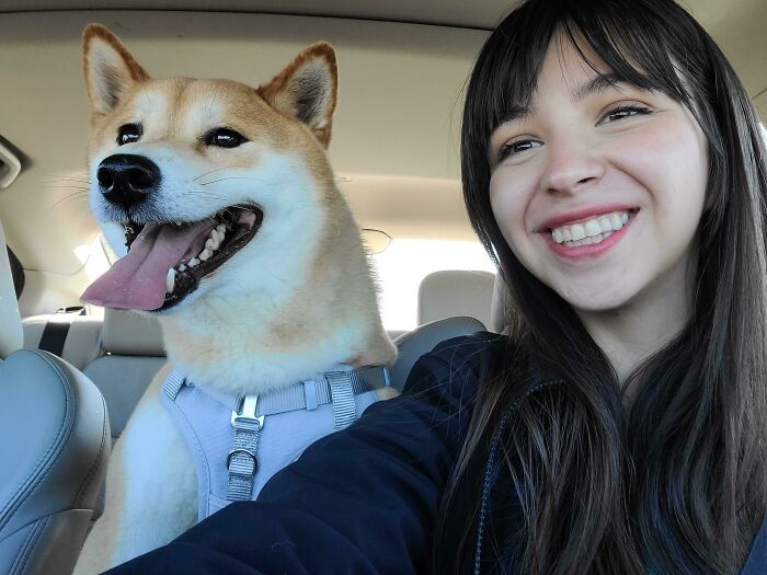 Just Adopted This Fella From A Rescue. Meet Akashiyaki