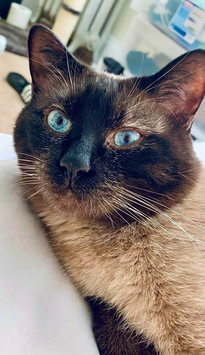 Adopted This 7yr Old Boy This Week