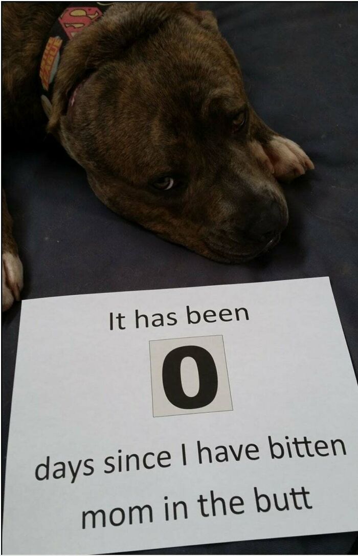 To Keep A Streak Going