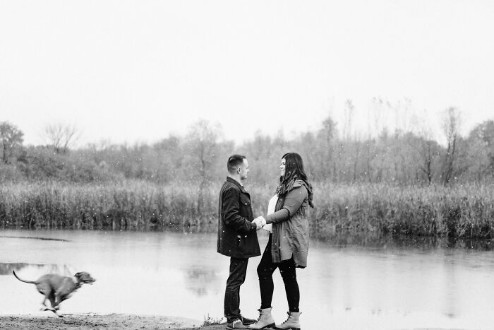 Got Our Engagement Photos Back And Our Dog Had A Pretty Spectacular Photobomb