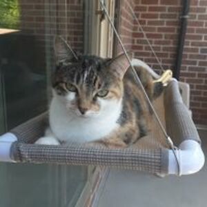 sheiladanderson_2013 avatar