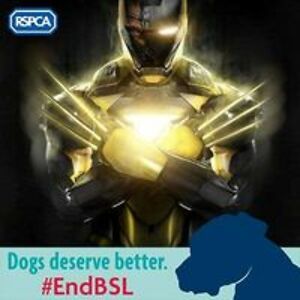 danielson0480 avatar