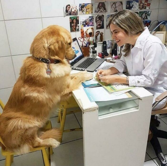 I Don't Know, I Want To Bark Constantly