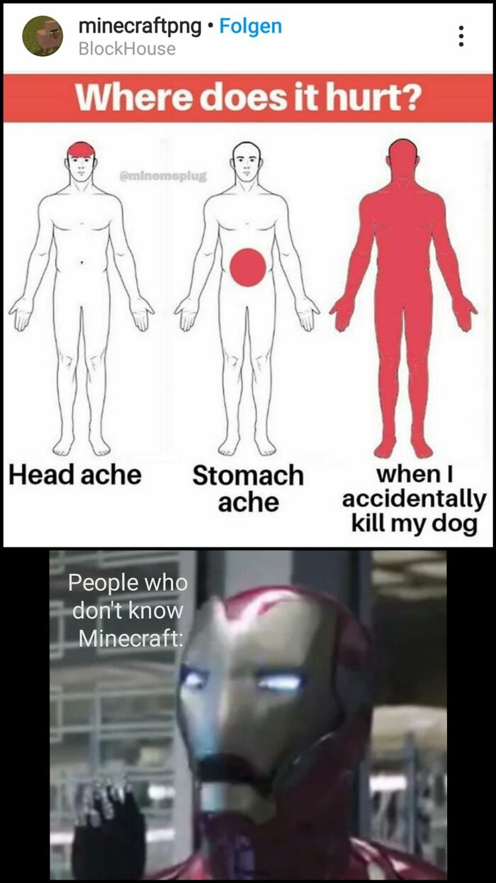 Diagram showing pain areas with "when I accidentally k**l my dog" fully highlighted, paired with an Iron Man meme, funny dog memes.