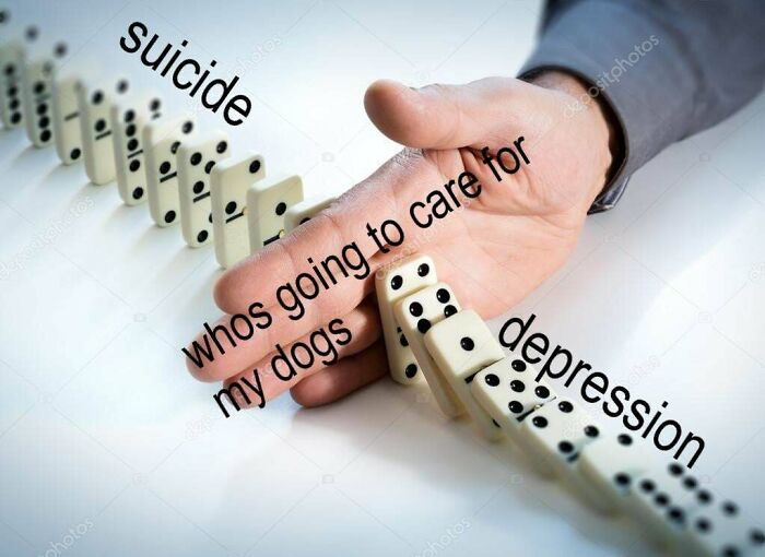 Hand stopping dominoes falling labeled with relatable dog meme about depression and care.