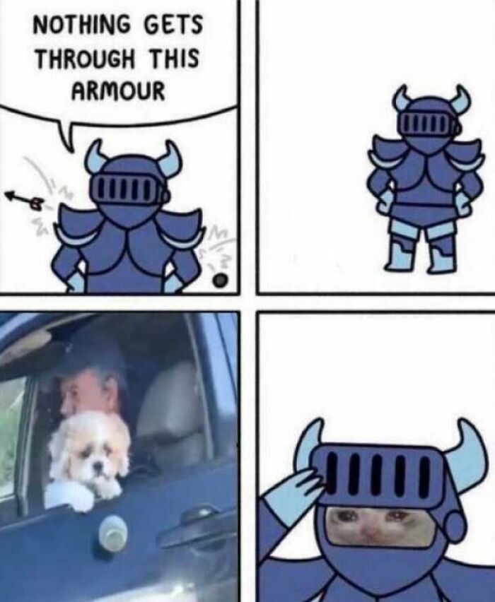 Knight in blue armor confident nothing can get through, but dog inside car peeks and surprises, a funny dog meme moment.