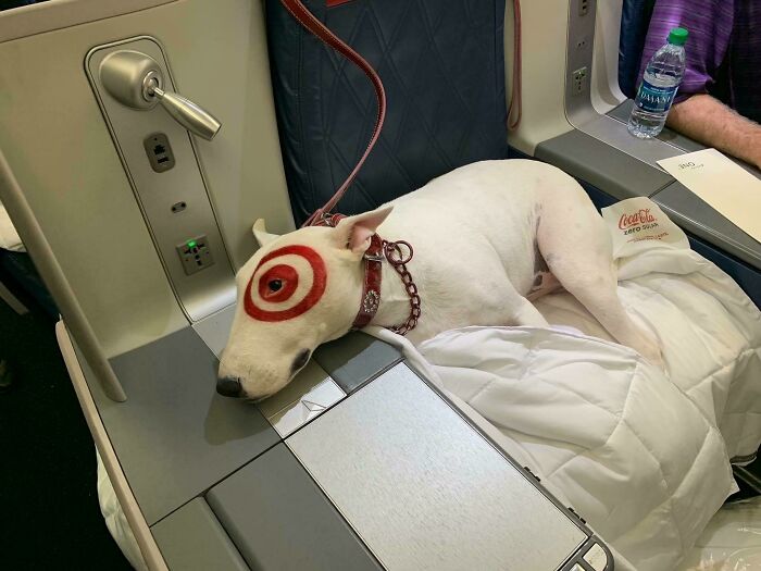 My Friend Found A Celebrity In First Class On His Plane At JFK