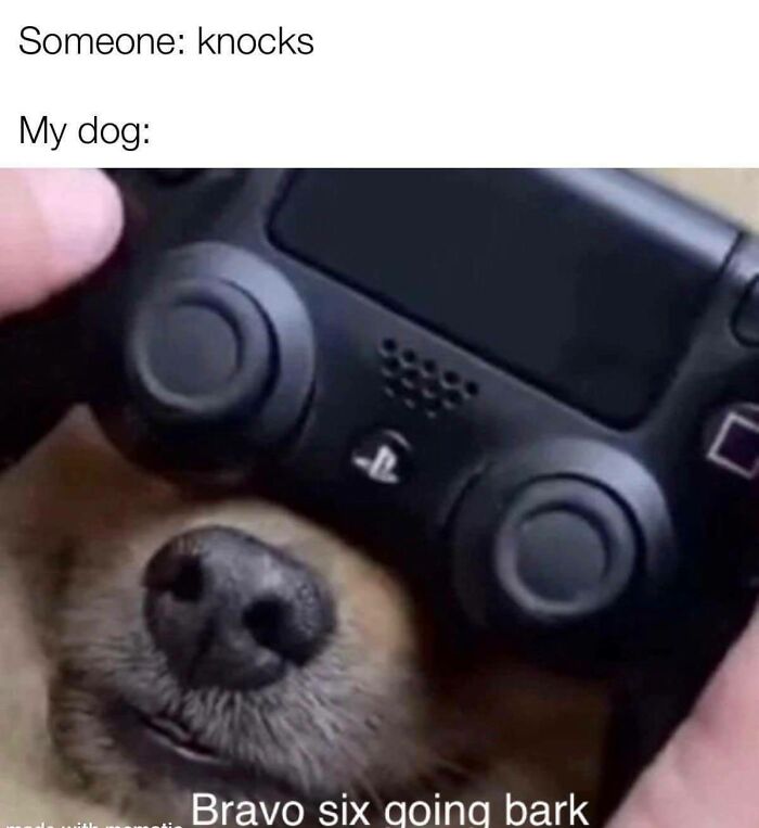 Dog with a gaming controller held over its face, caption humorously linking dogs and funny dog memes.
