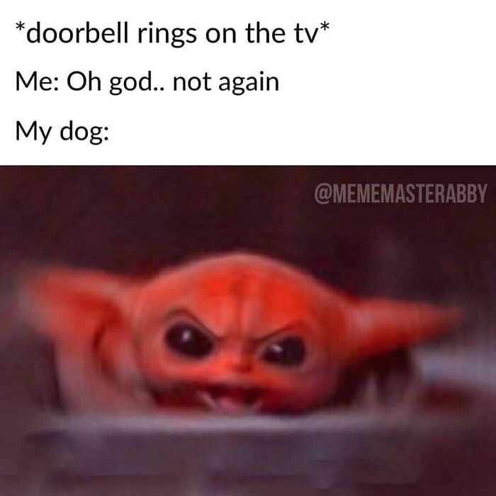 Blurry red creature with large ears expressing anger, paired with text about a dog's reaction to the doorbell on TV in funny dog memes.