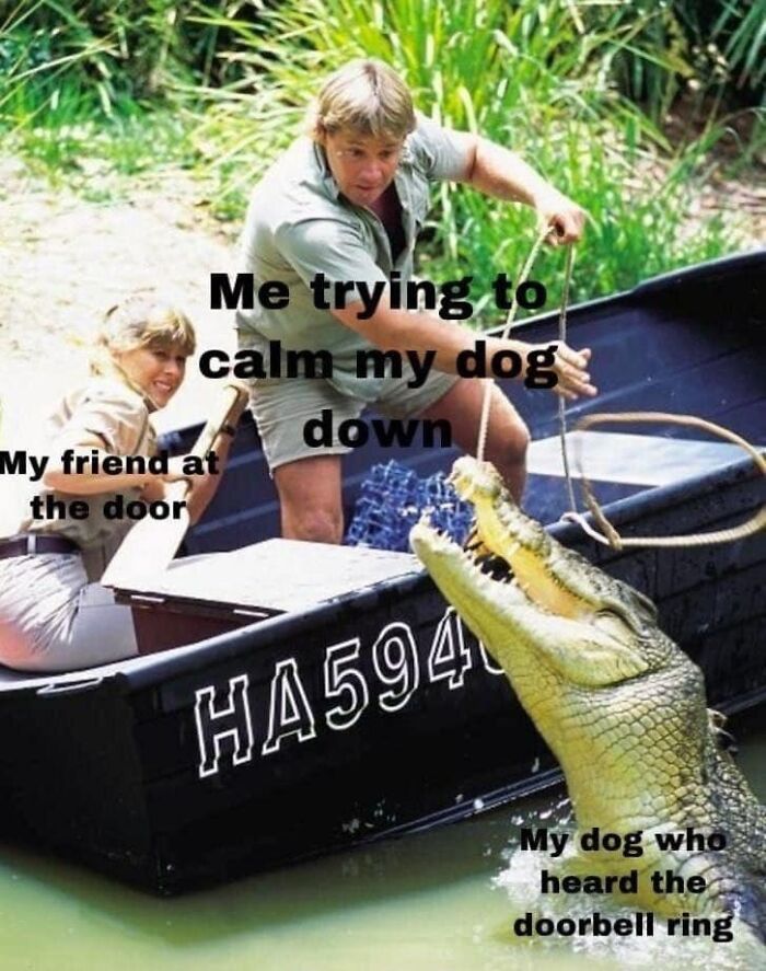 Man in a boat trying to calm a crocodile labeled as dog in a funny dog meme about doorbell ringing.