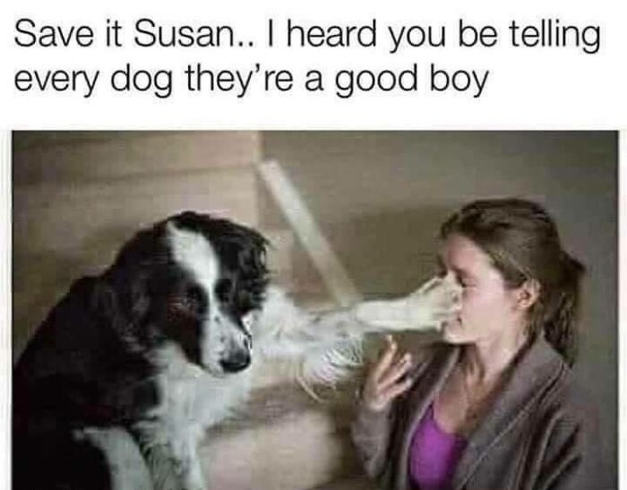 Dog humor showing a dog placing its paw on a woman's face with funny meme text about good boys.