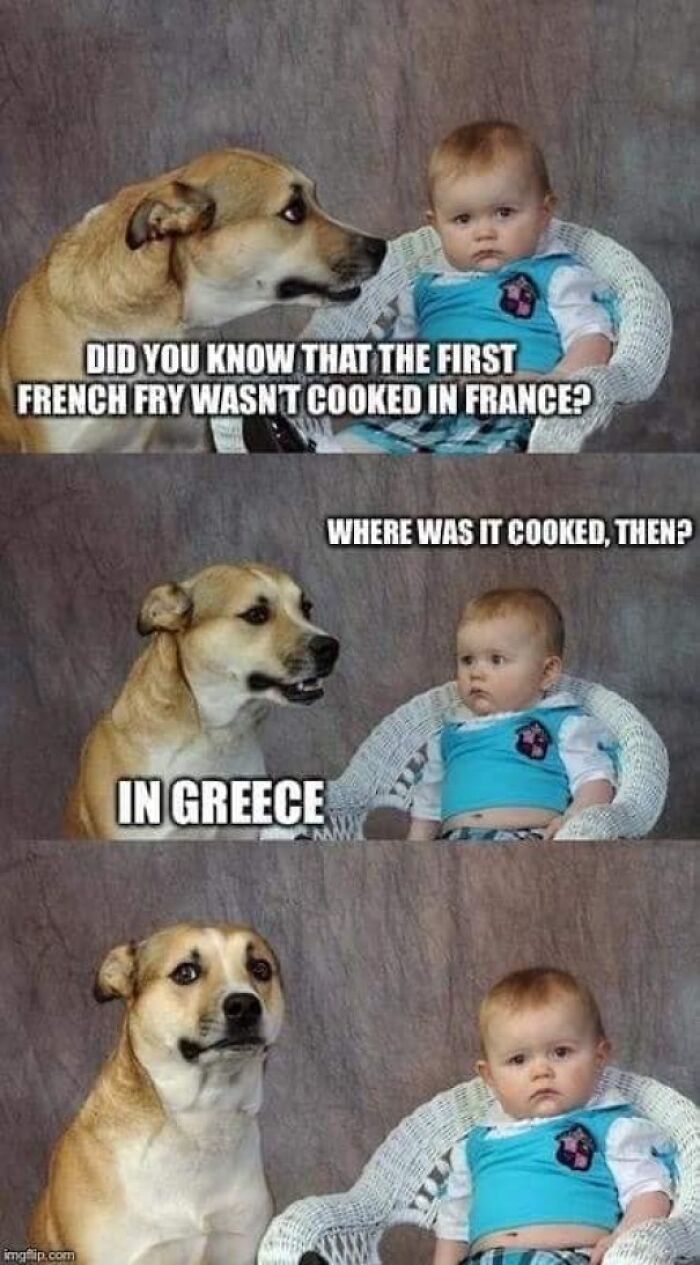 Dog and baby sharing a funny moment in a meme about the origin of french fries, a top dog memes example.
