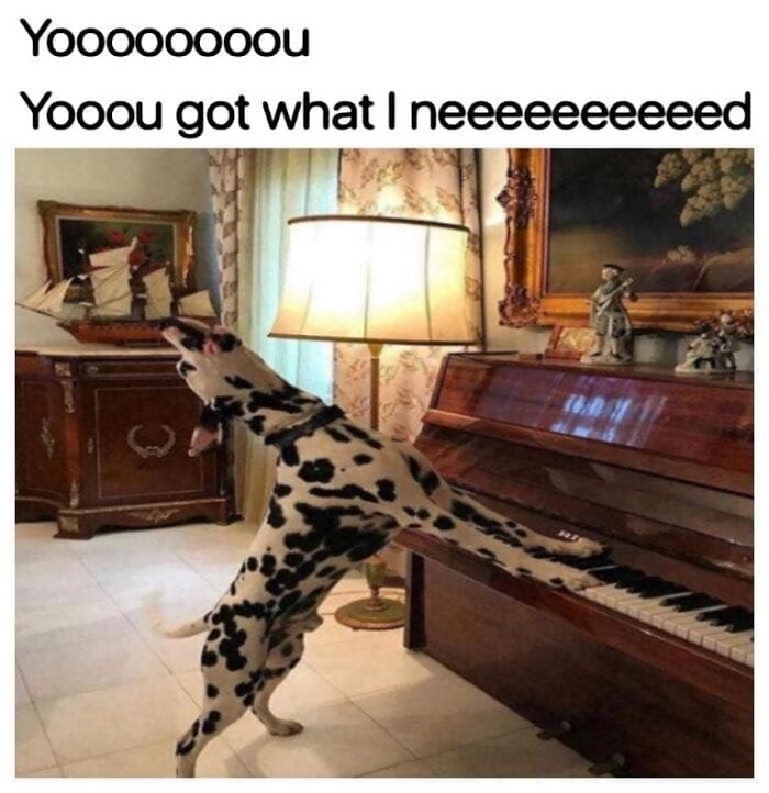 Dalmatian dog standing on hind legs playing piano with caption expressing excitement in a funny dog memes style.