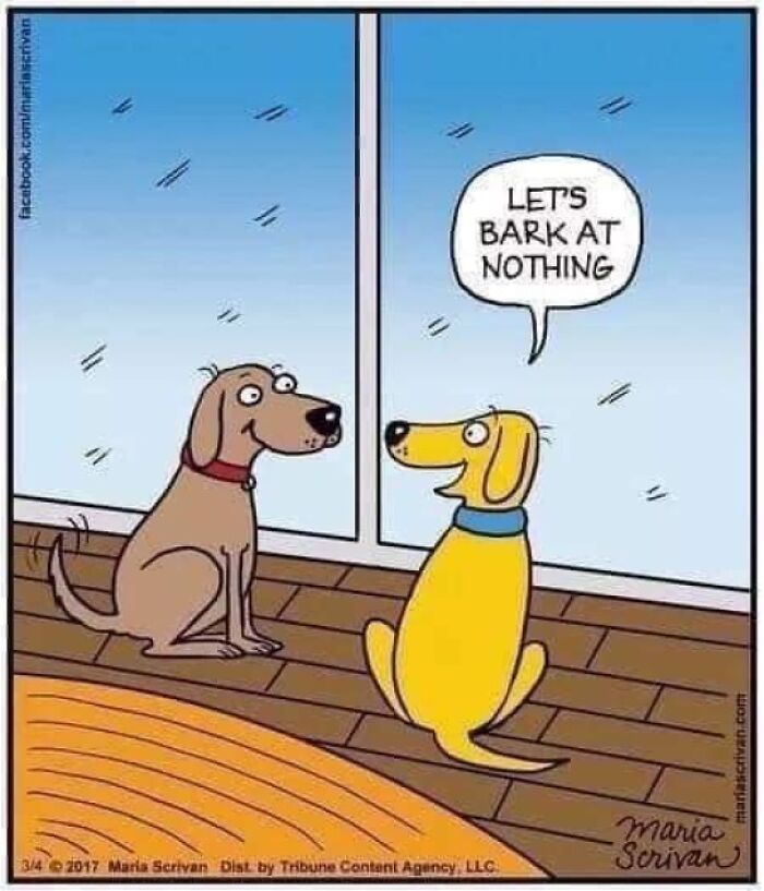 Two cartoon dogs inside a house with one saying let's bark at nothing in a funny dog meme.