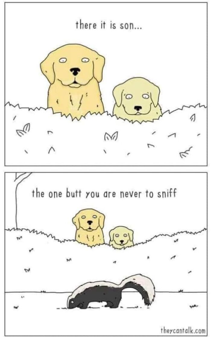 Cartoon dogs pointing out a skunk as the one b**t dogs should never sniff in a funny dog memes comic.