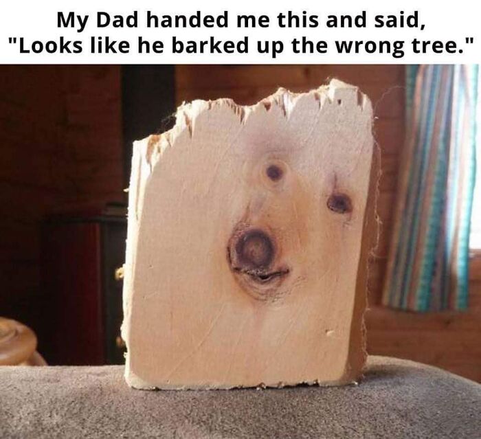 Piece of wood with natural knots resembling a dog's face, featured in a collection of funny dog memes.