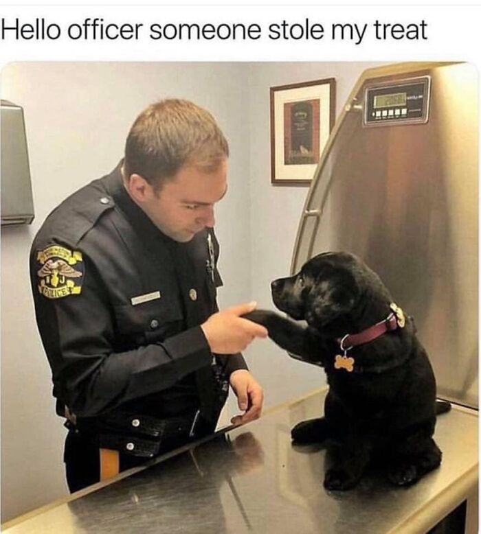 Police officer and puppy in funny dog meme exchange a paw shake in a light-hearted setting.