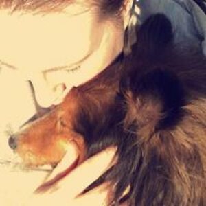 greensleeves1 avatar