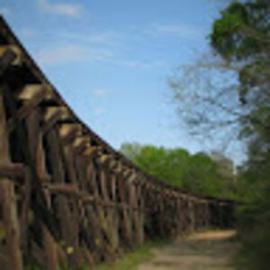 stephenbowyer avatar