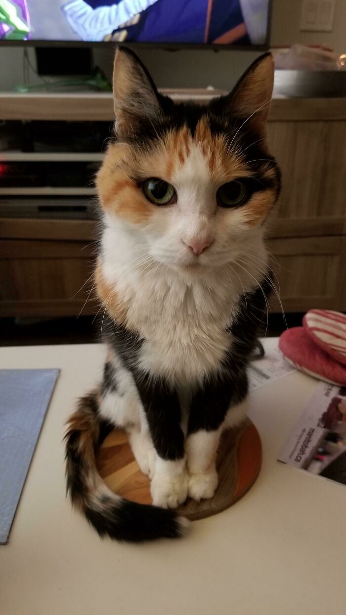 It S Suggested I Post My 17 Year Old Tipsy Here. Her Eyeliner Game Is On Point!