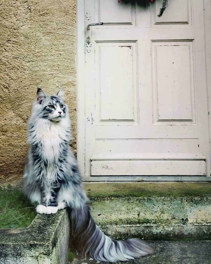 This Regal Unit