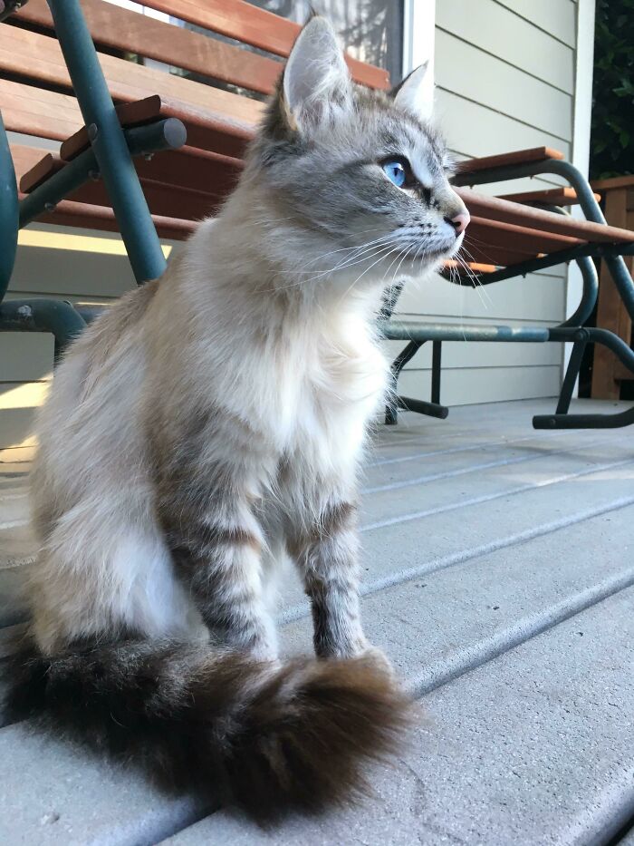 R.i.p. My Blue Eyed Boy. Keep Working Those Angles For The Angels