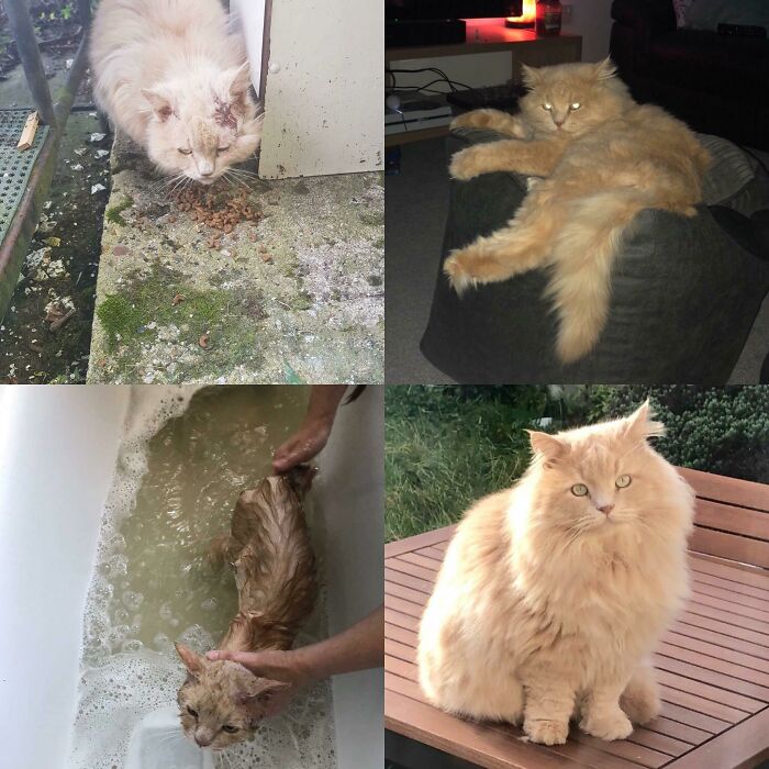 The Difference A Few Months And Lots Of Love Makes!