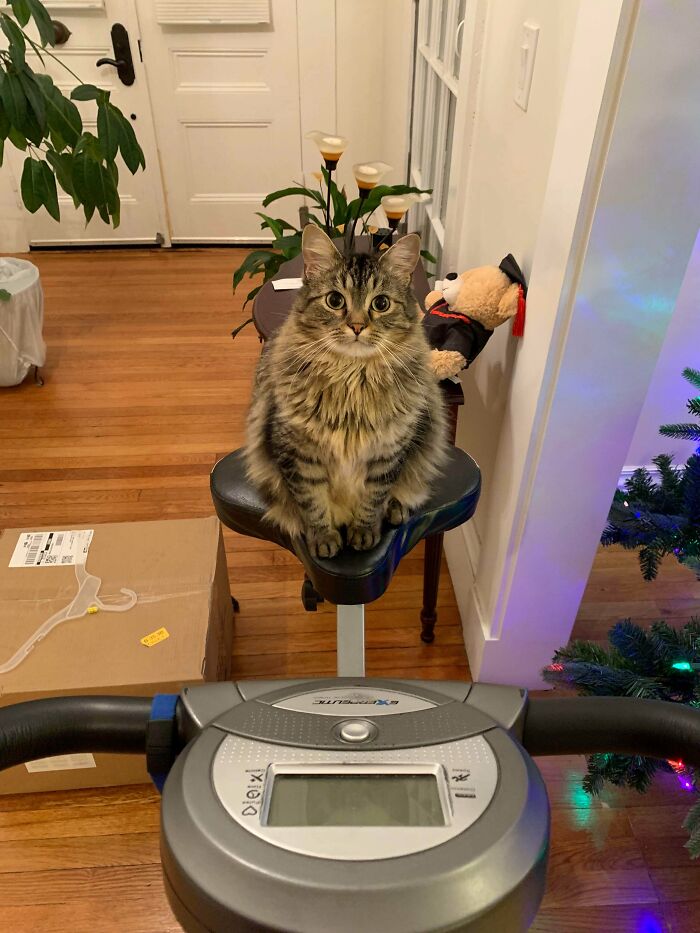 Hi Reddit! Here’s My Two Year Old, Teddy