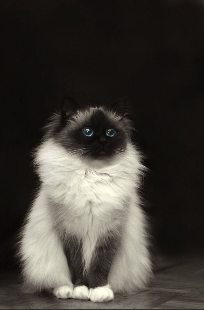 Beautiful And She Knows It