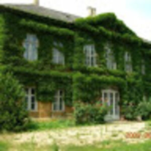 borianastoyanova avatar