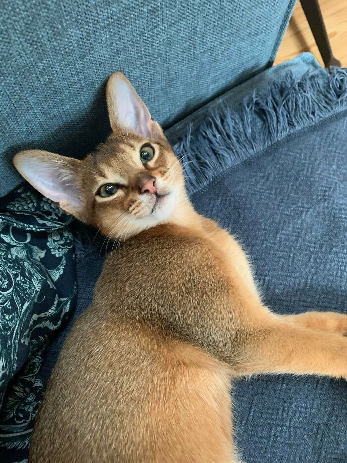 Do I See Him Very Beautiful Because He’s Mine Or Is He Really?