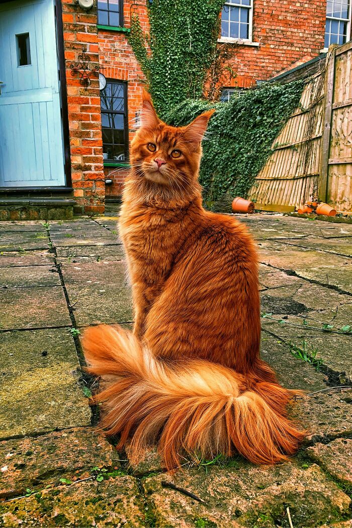 Flerken Knows How To Find The Light