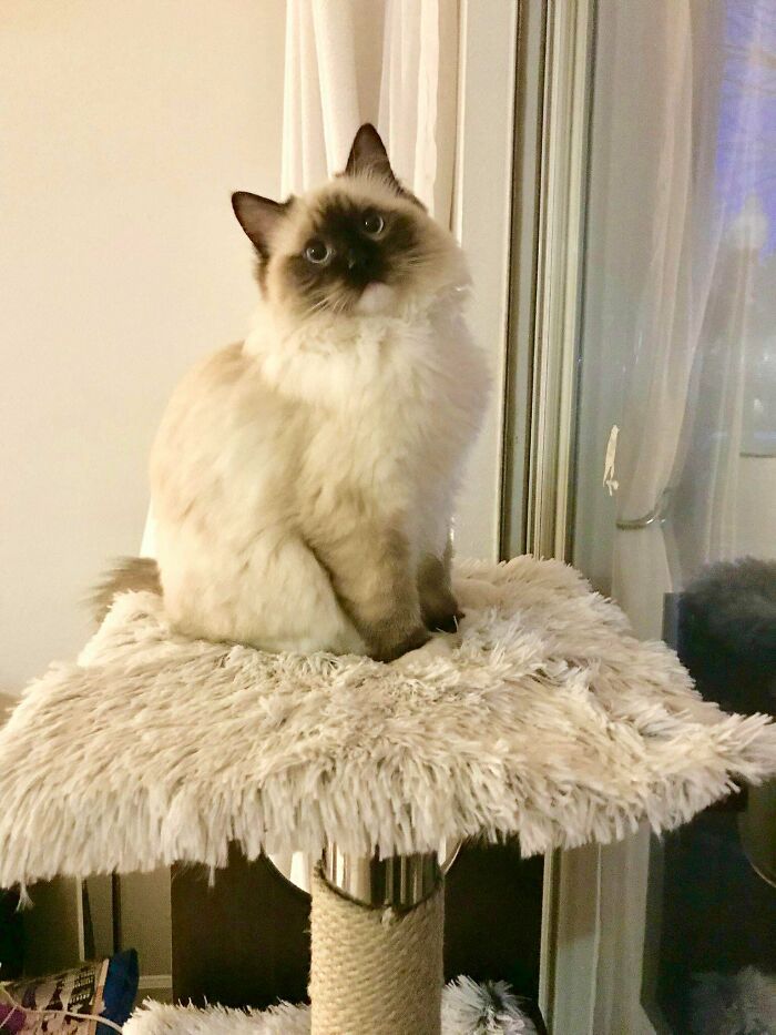 He’s A Babe Magnet