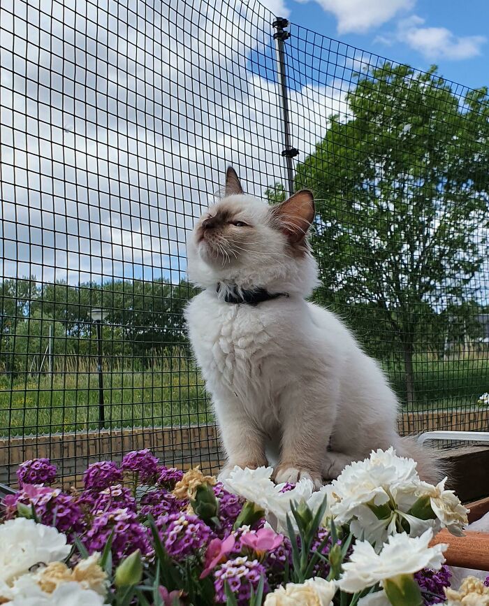 My New Supermodel, Momo