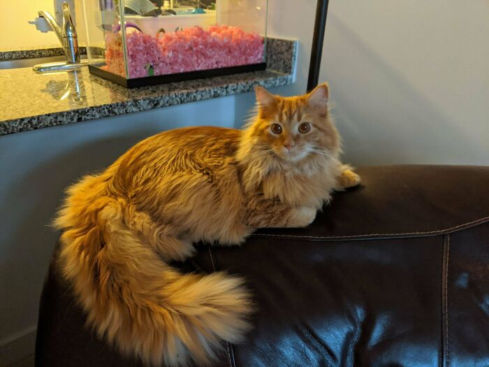 He Turns 1 This Month 