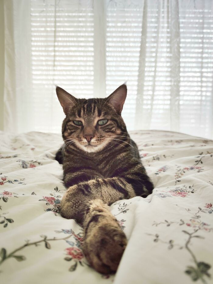 I Will Never Be As Cool As My Boy Marquis