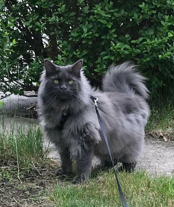 He’s So Handsome.... Outdoor Shoot!