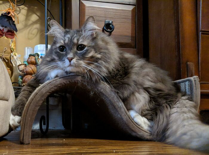 He's Resting After A Long Photoshoot