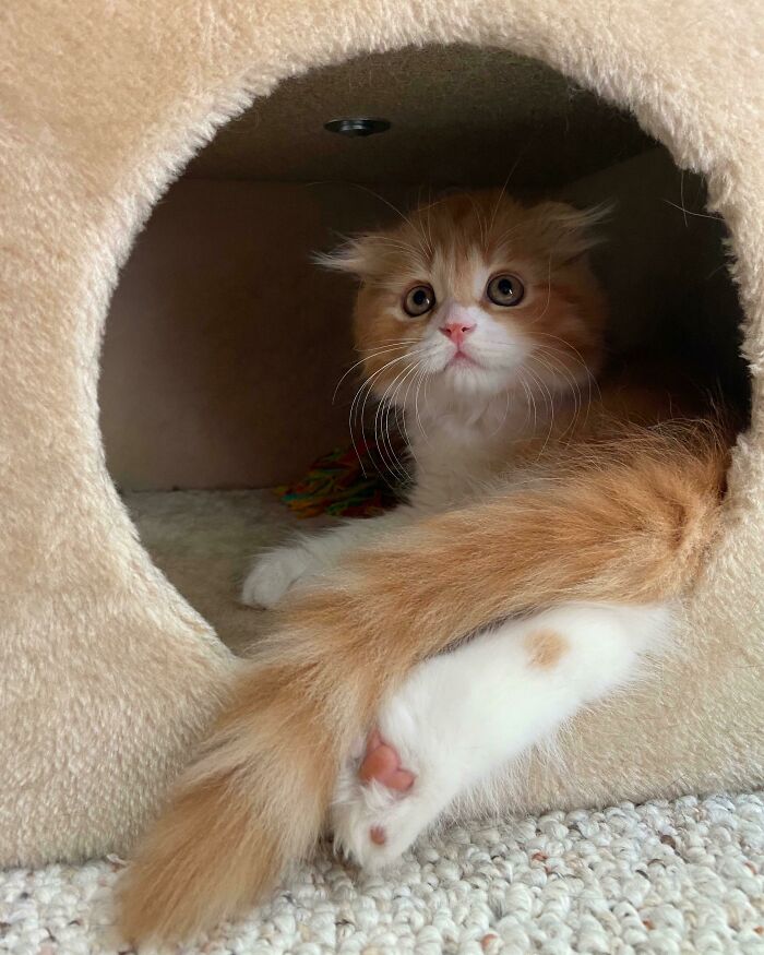 I Just Can’t Believe He’s Even Real