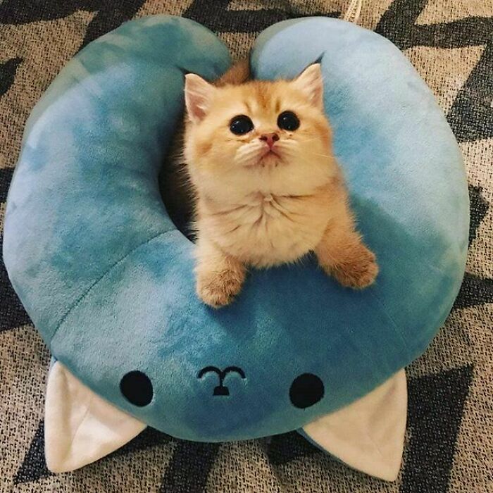 Not Sure Why We Named Her Moon When She's Definitely A Sun