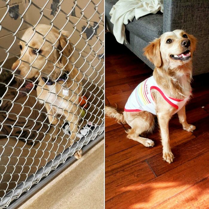 Our Girl Poppy. Been With Us About 5 Months Now